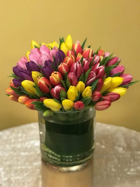 Modern Tulips